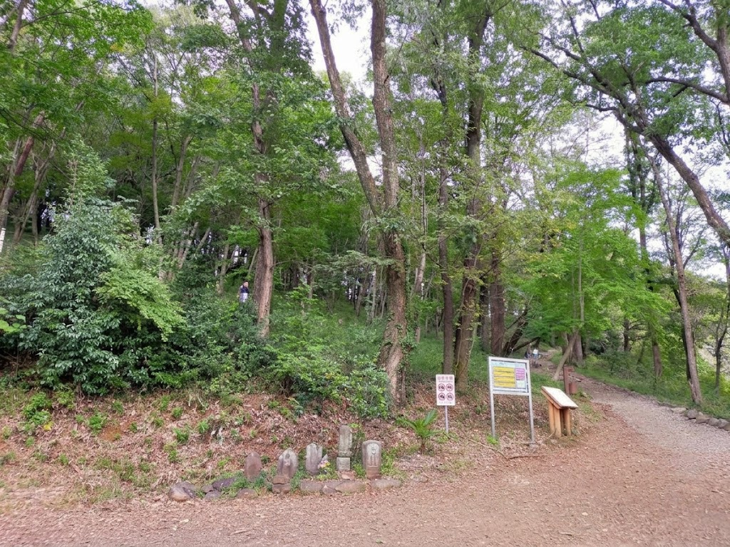 日和田山